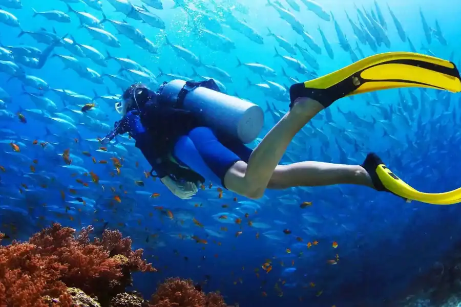 🤿 Antalya Diving Tour