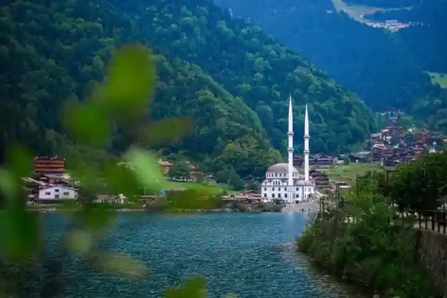 🚘Uzungöl Tour with a Private Driver