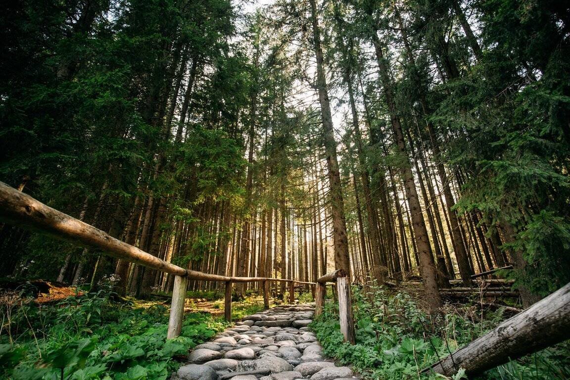 <span>🕥 10:30 AM </span>Arrive in Zakopane & Orientation Walk