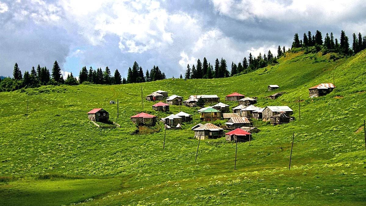 <span>📅 اليوم السابع</span> هضبة هيدرنبي ورحلة إلى الطبيعة ⛰️