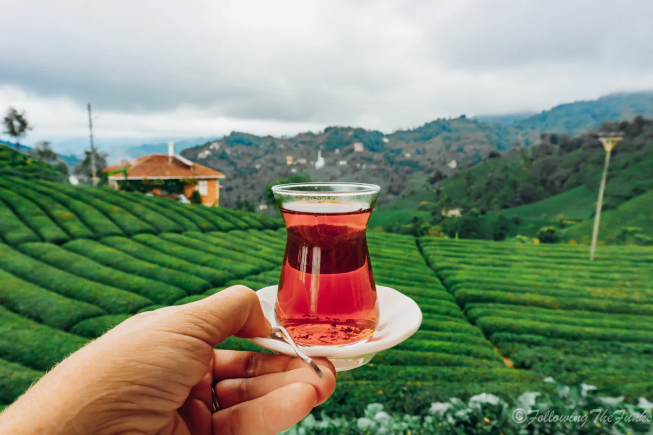 <span>☕ Day 5</span> Rize & Tea Plantations